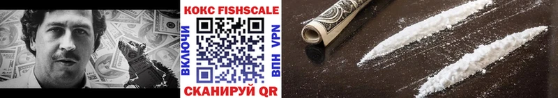 где купить наркоту  Наро-Фоминск  Cocaine Fish Scale 