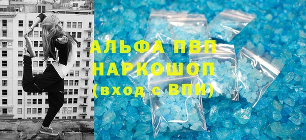 стафф Бородино