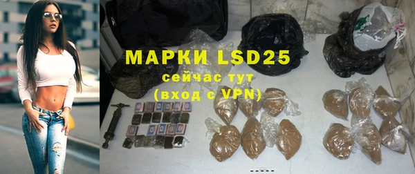 ПСИЛОЦИБИНОВЫЕ ГРИБЫ Володарск